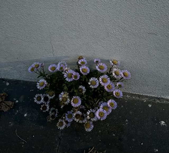 Flaschen